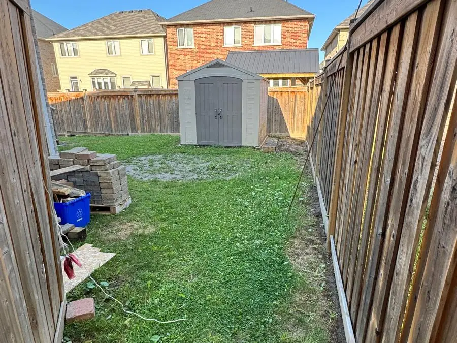 Patchy grass backyard with a shed before work