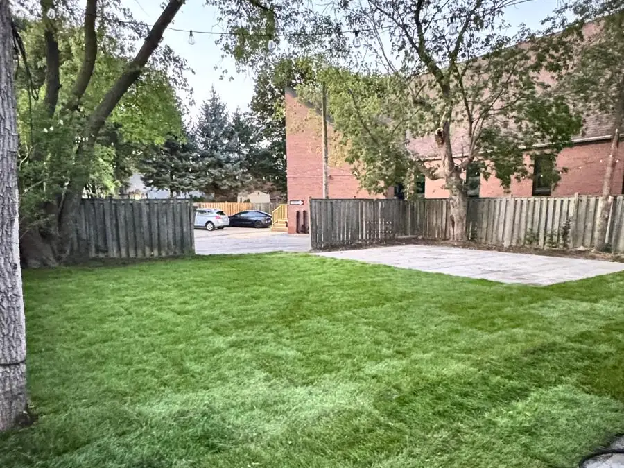 The same backyard finished with new sod