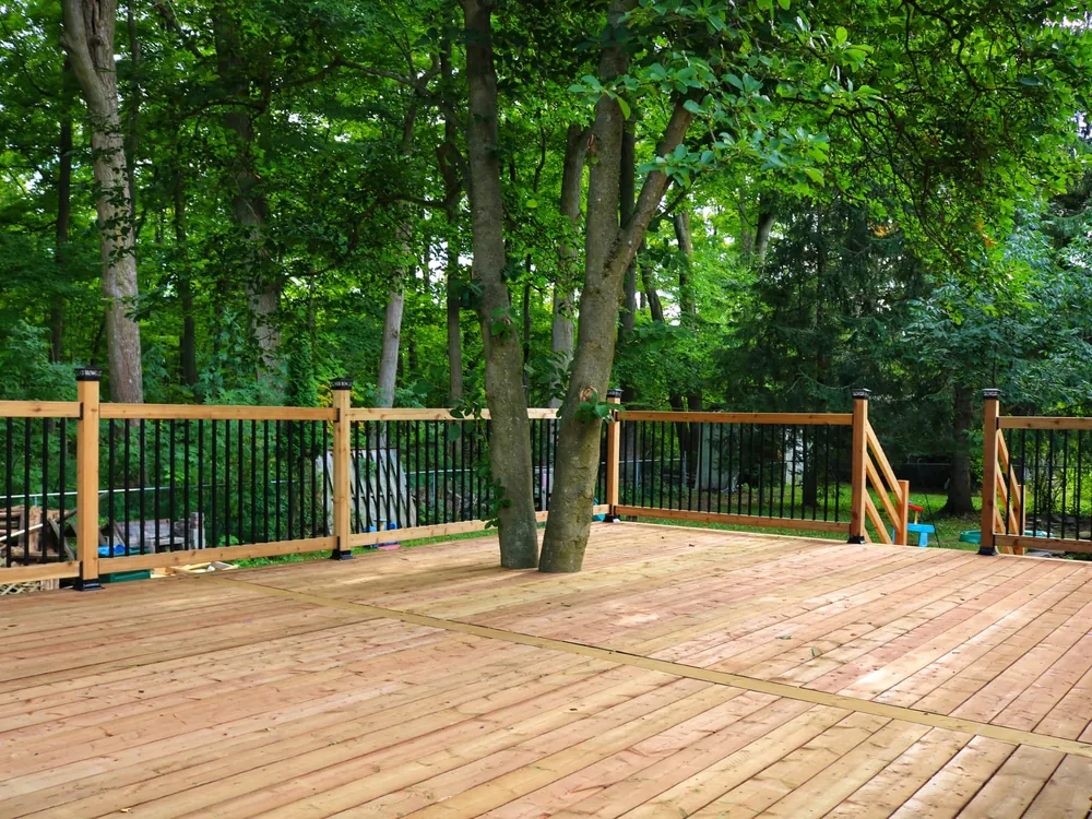 Deck boards run around two mature tree trunks with railing beyond
